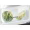 Whirlpool Kühlschrank Einbaugerät WBC 12AC21R Edelstahloptik Perspective open
